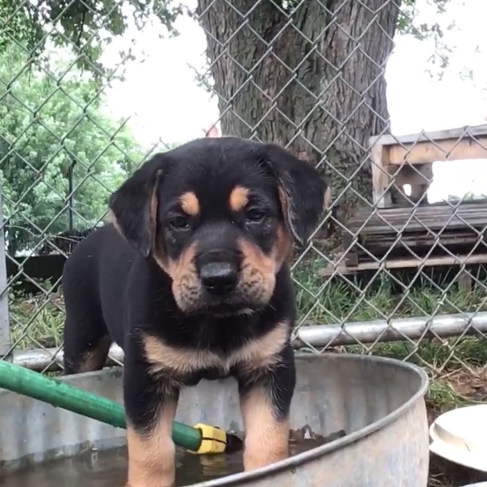 Meet your Posher, Jenna